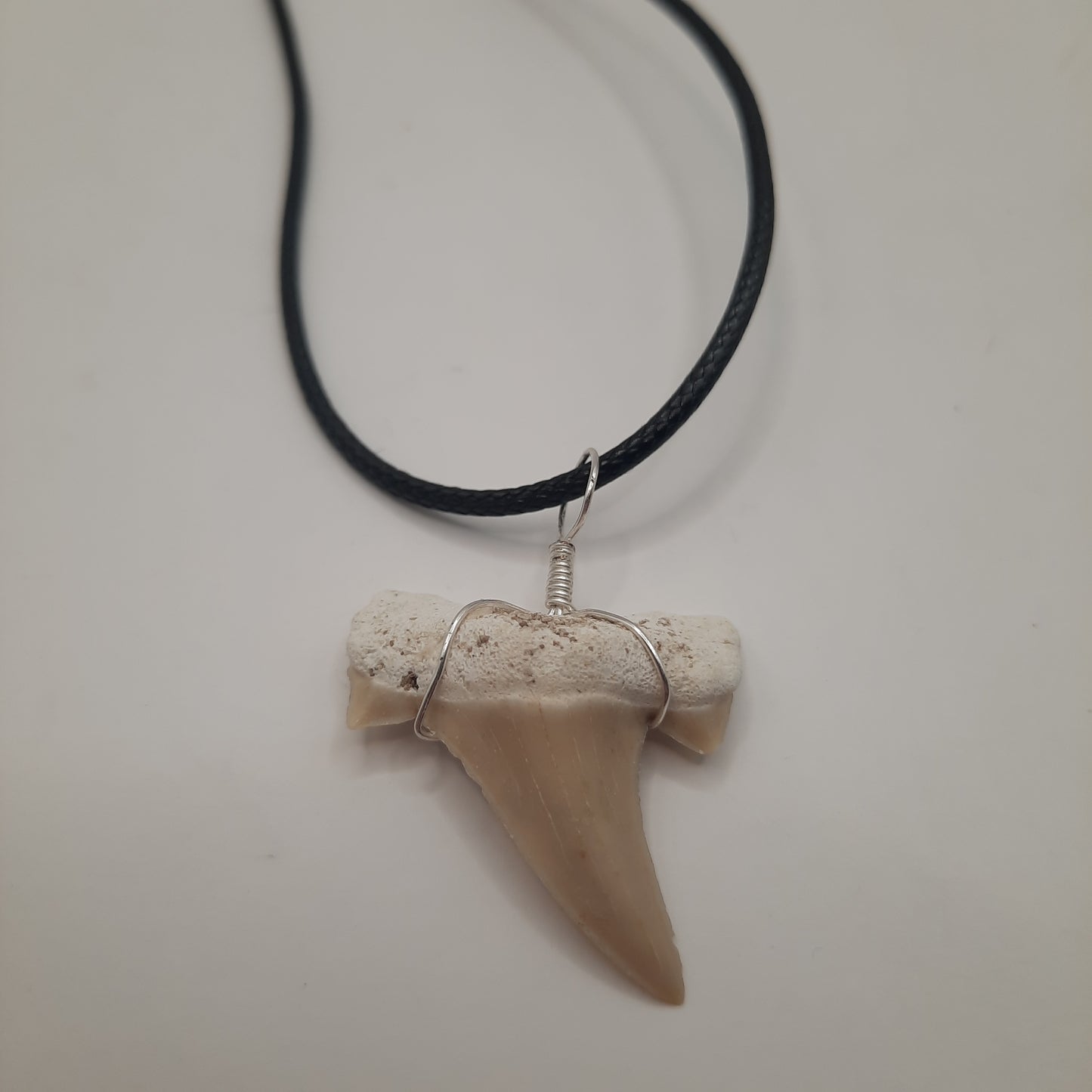 Shark Tooth Necklace