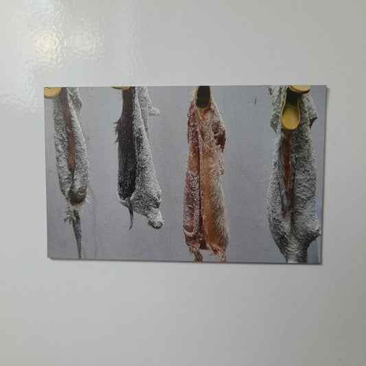 4 Skin Magnet