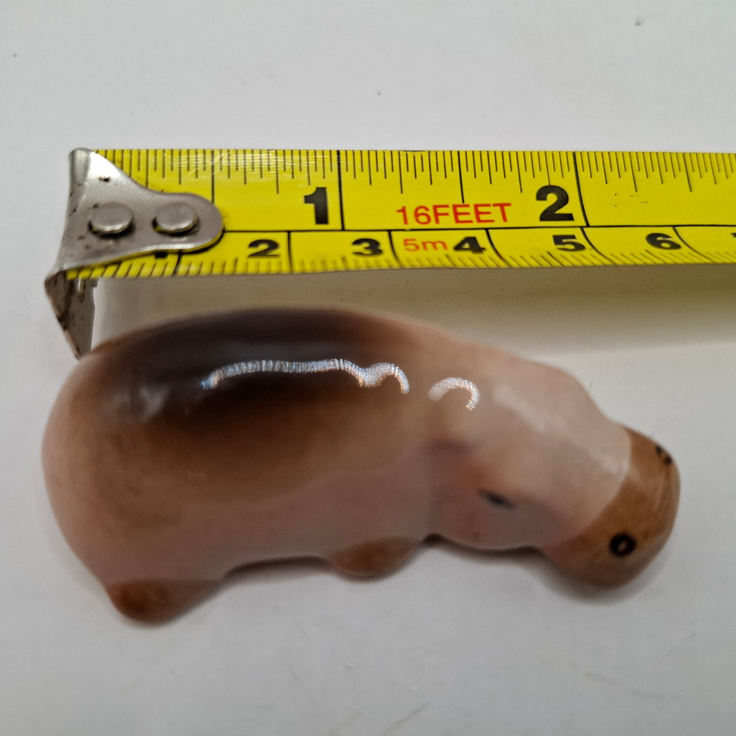 Tiny Animals