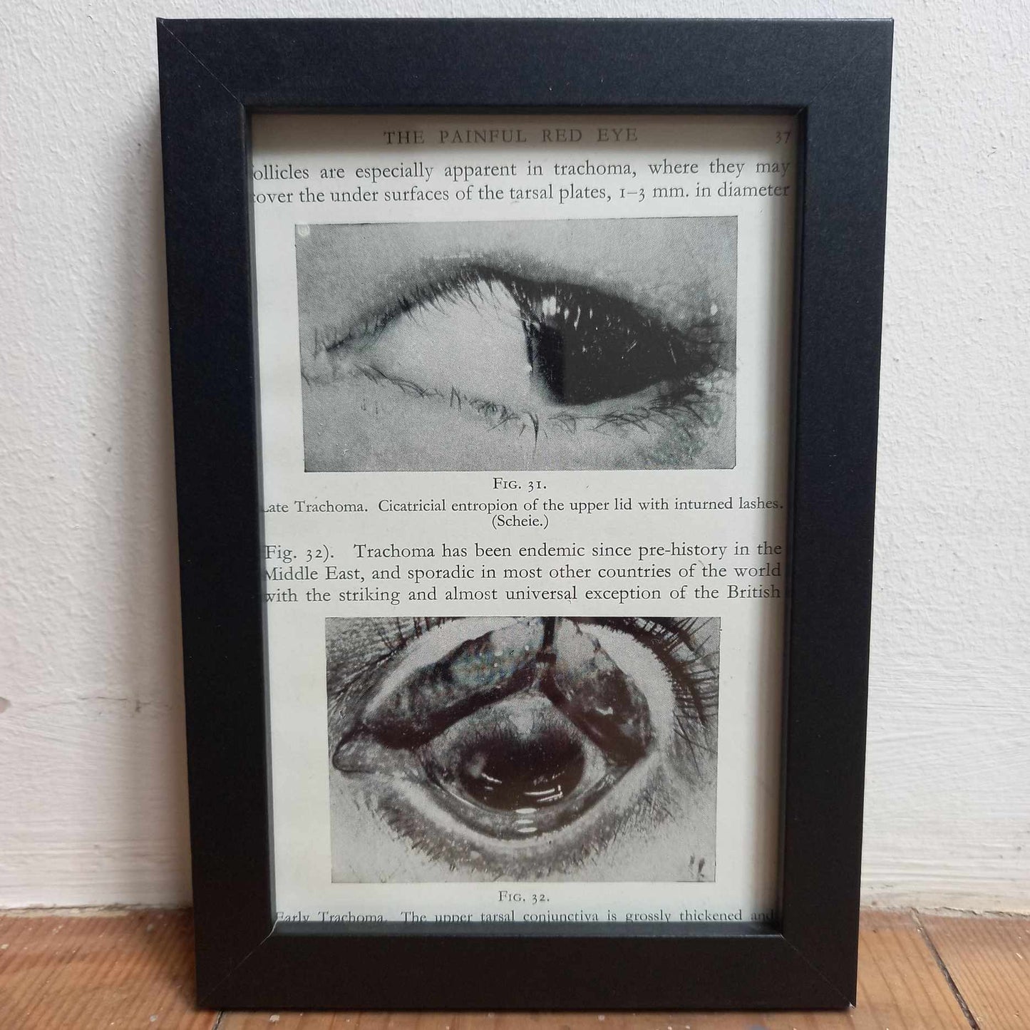 Framed Diagrams From Antique Biology book