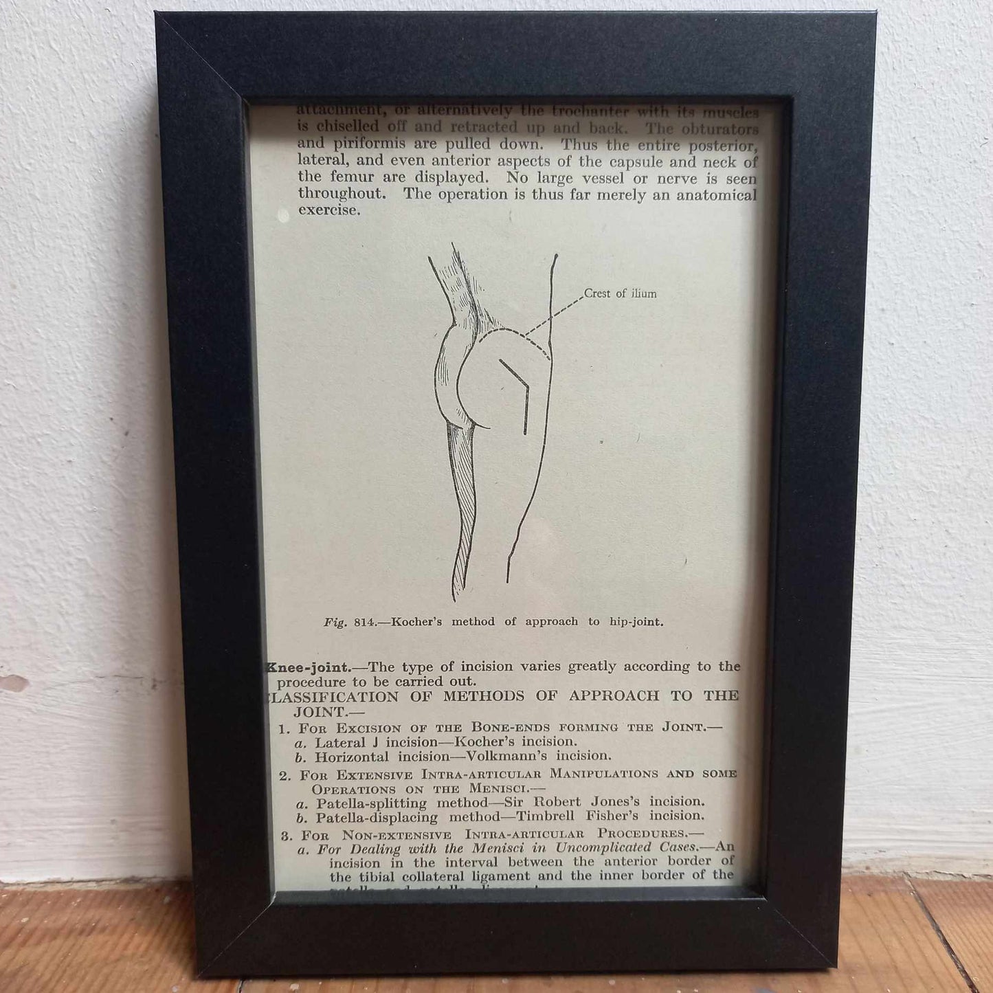 Framed Diagrams From Antique Biology book