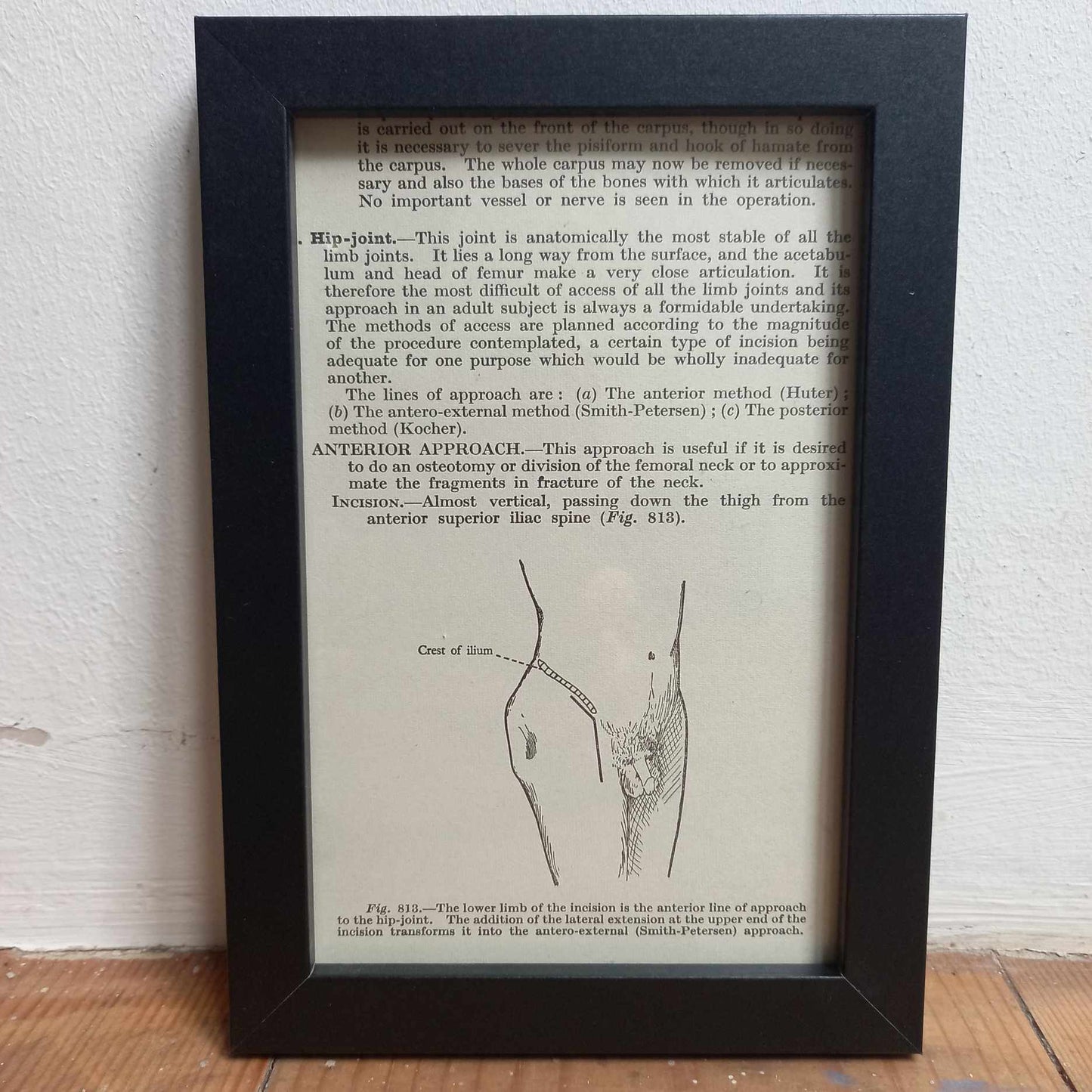 Framed Diagrams From Antique Biology book
