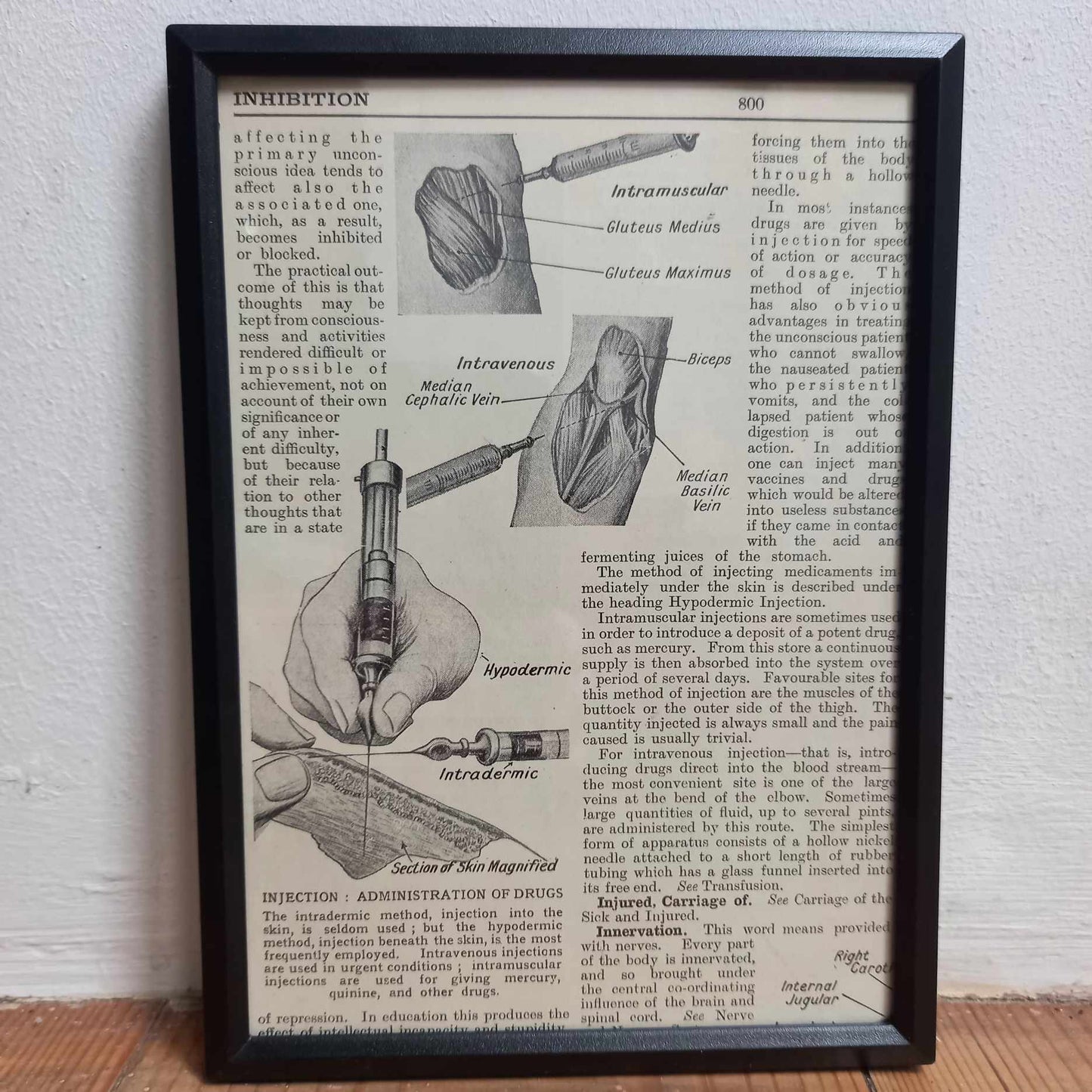 Framed Diagrams From Antique Biology book