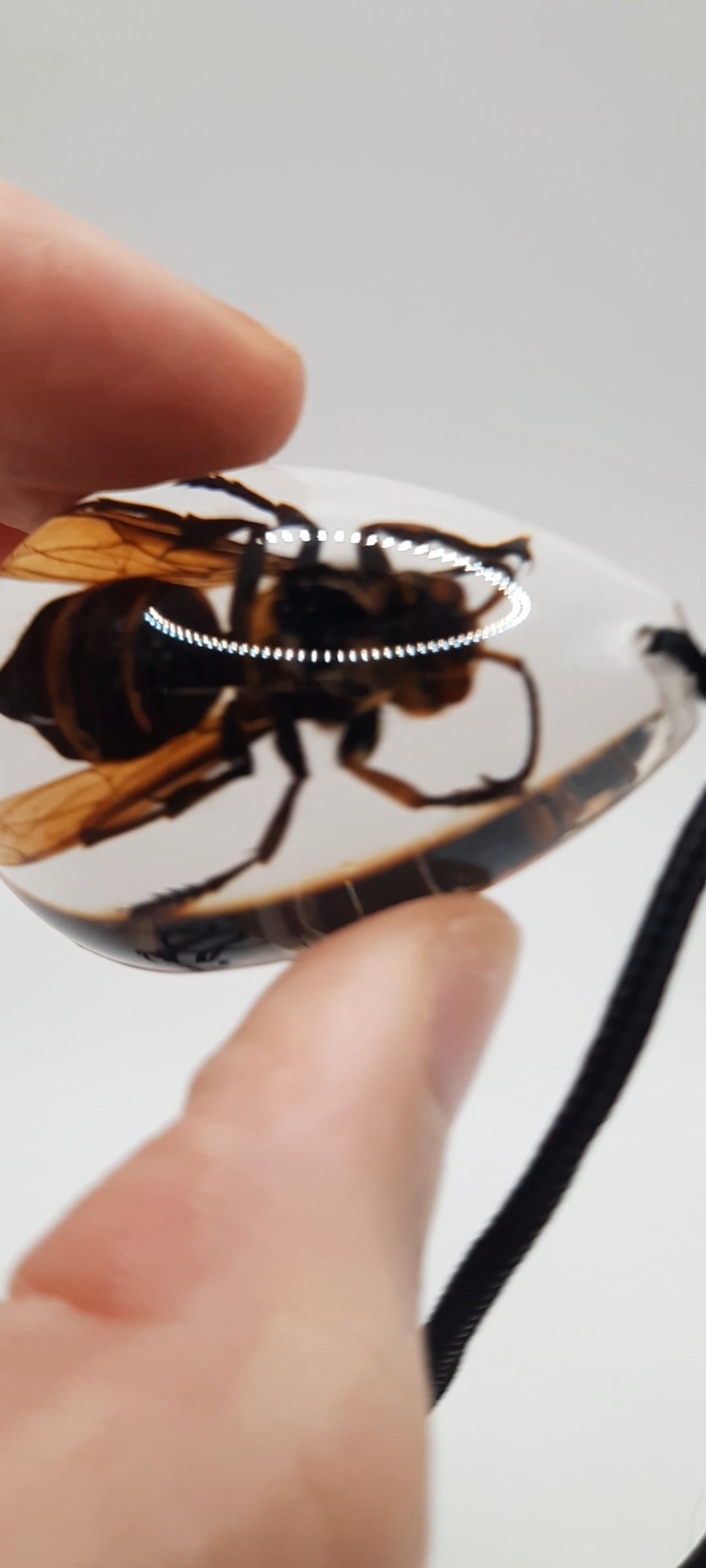 Big Wasp Necklace