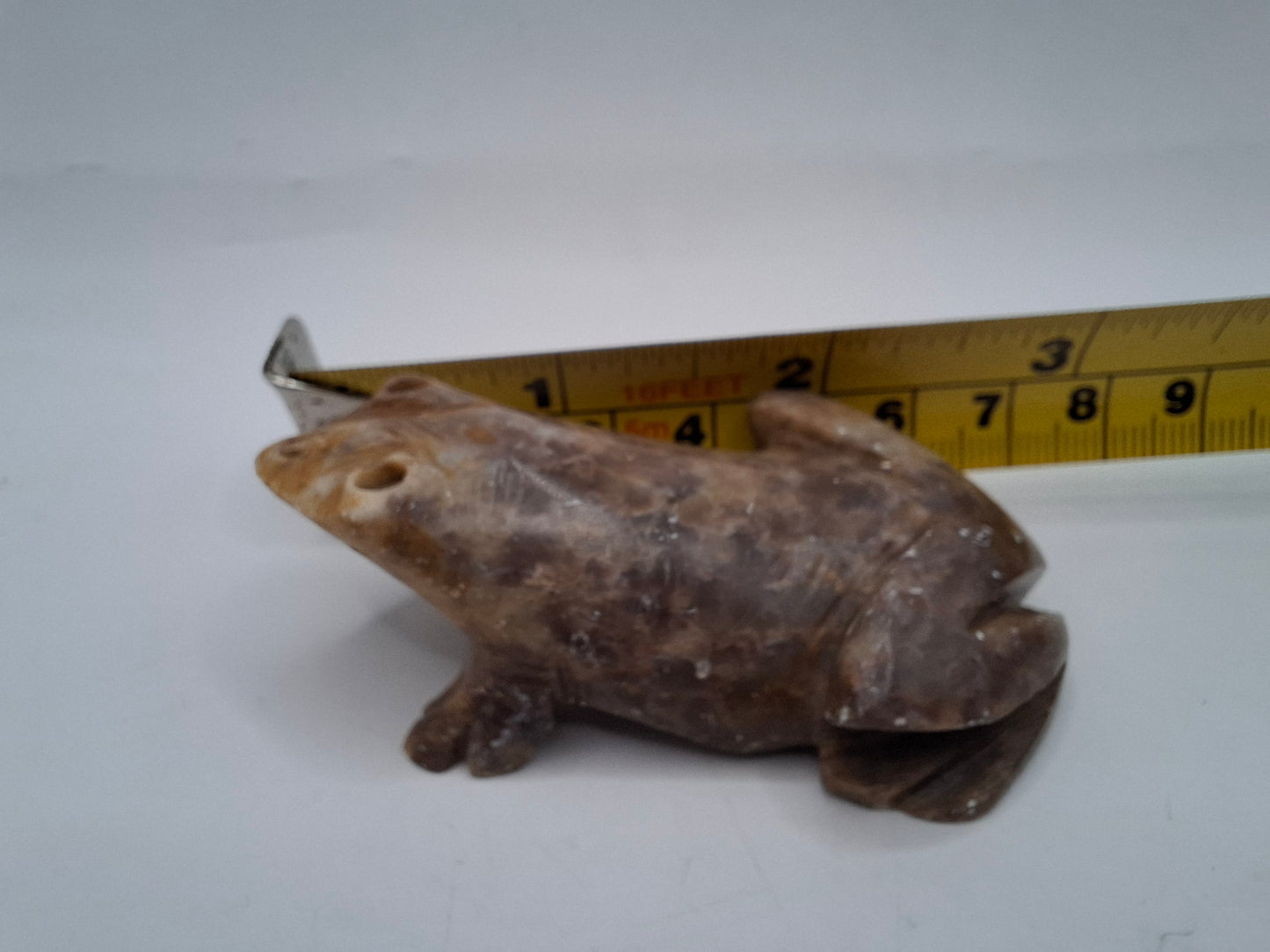 Weird Frogs