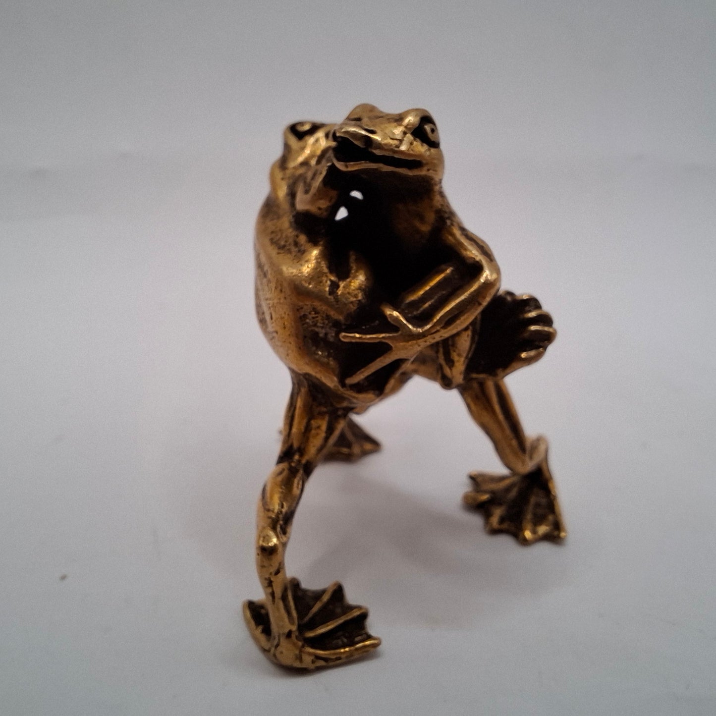 Fighting Frogs