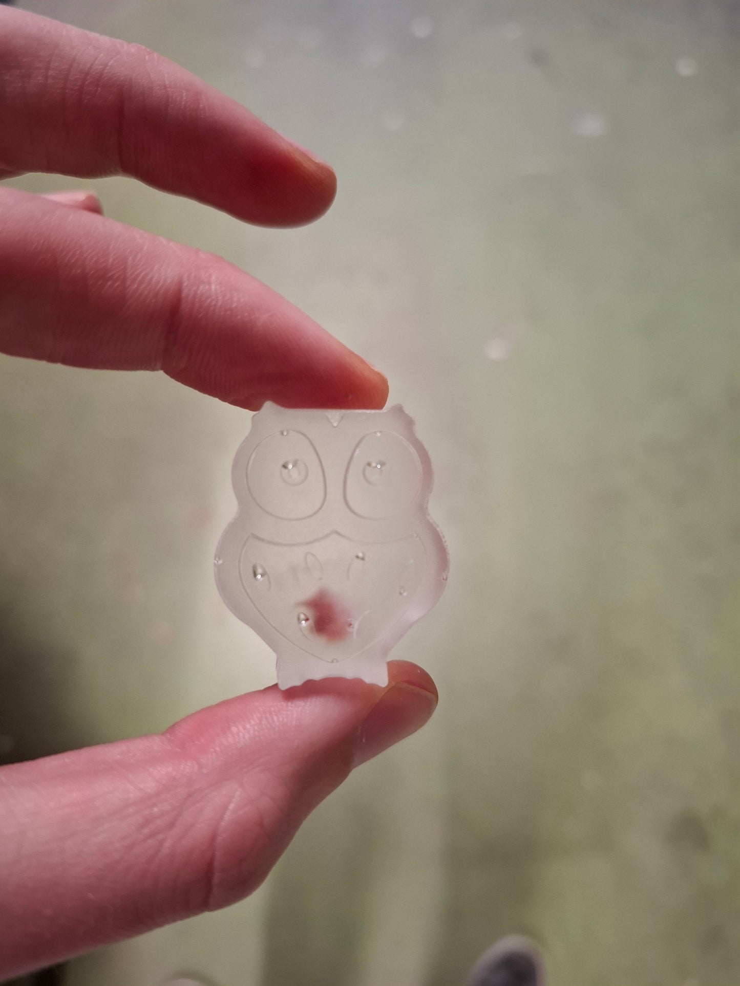 Owl Arse