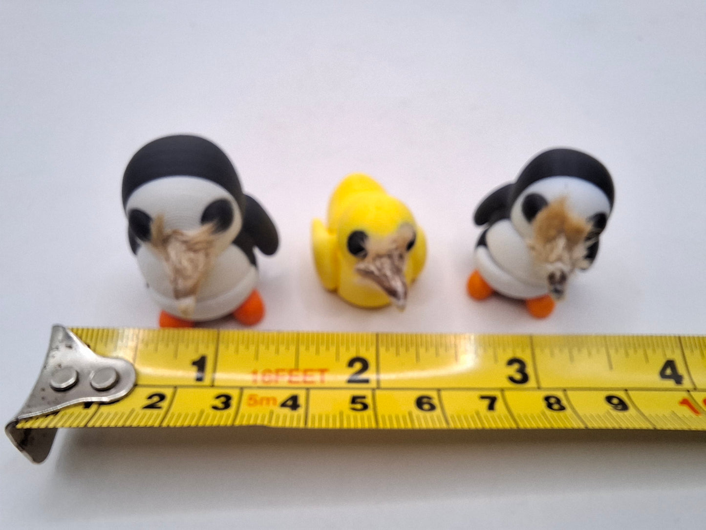 Birds & The Beeks