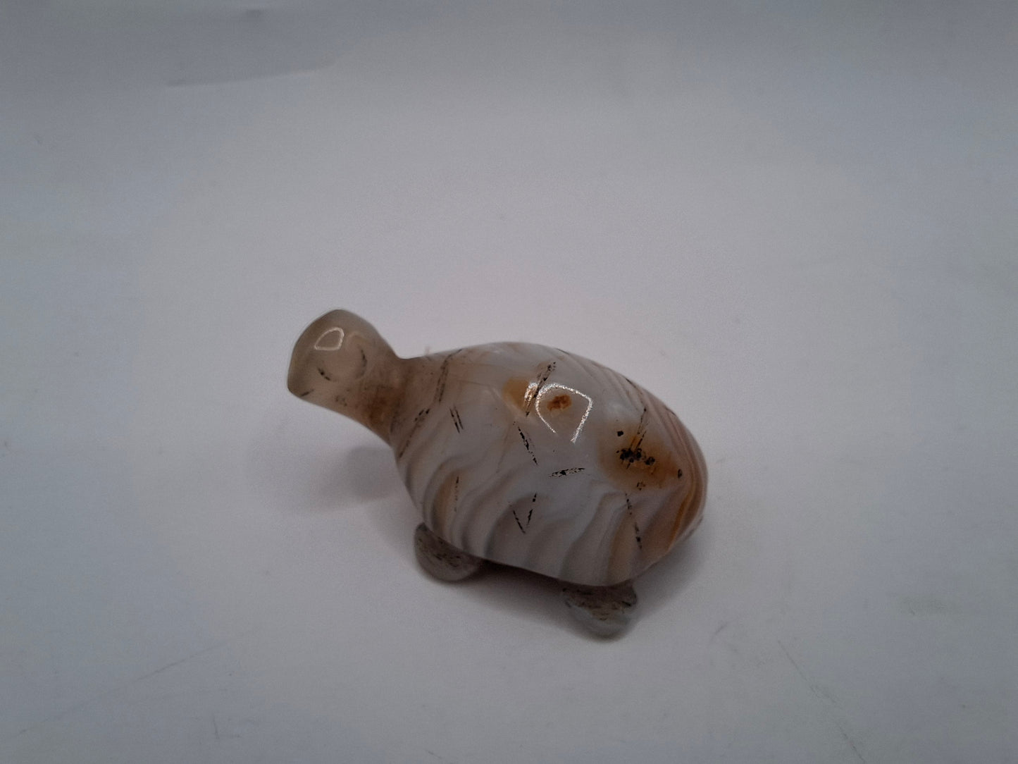 Small Turtle Carving