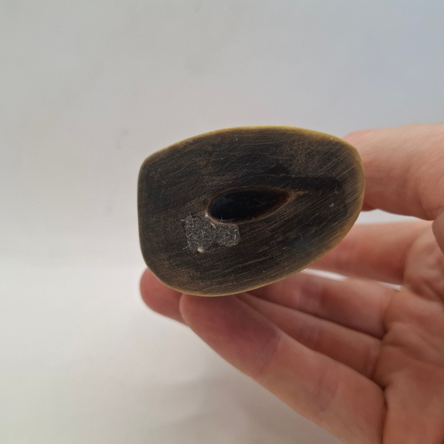 Horn Carving Of A Pelican