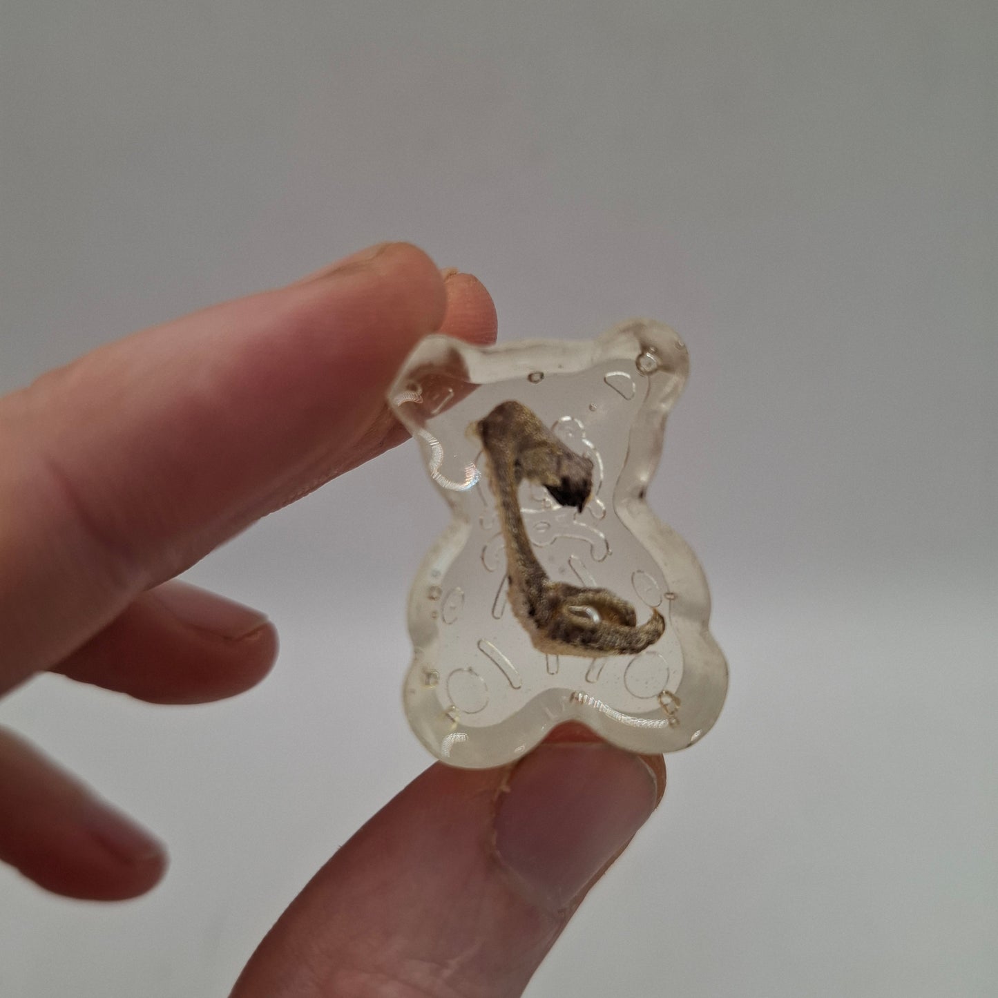 Bear Arm (Chameleon)