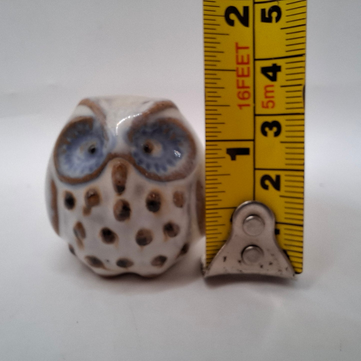 Cross-eyed Creatures