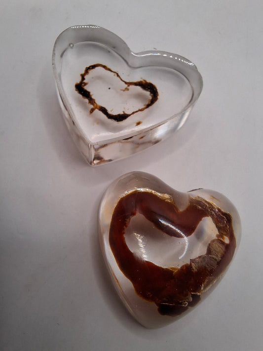 Intestinal Love Heart