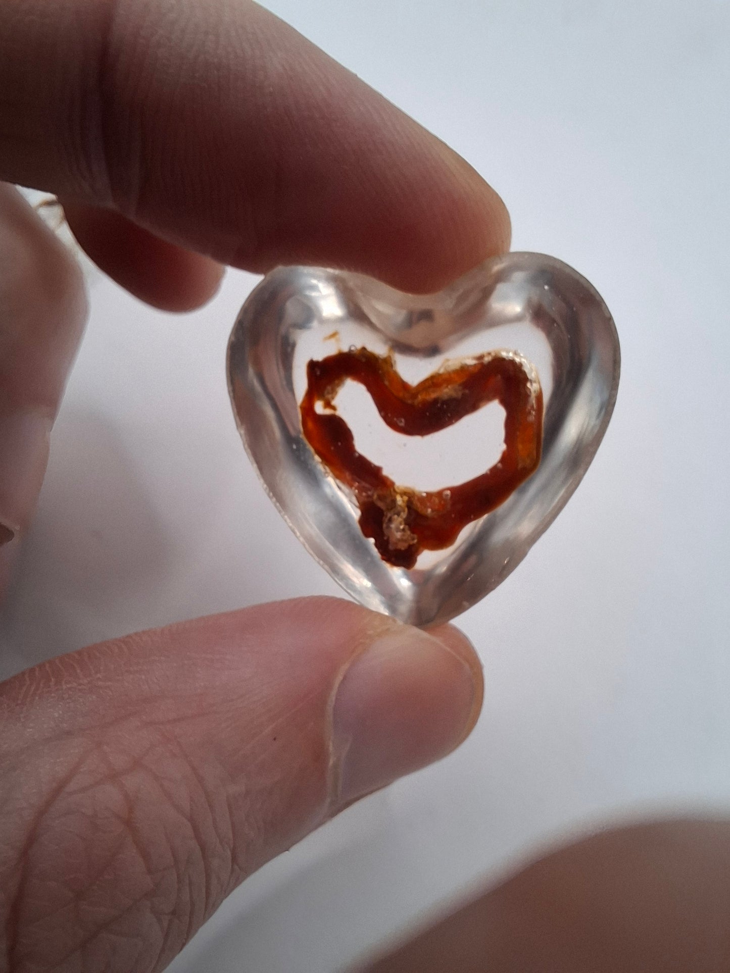 Intestinal Love Heart
