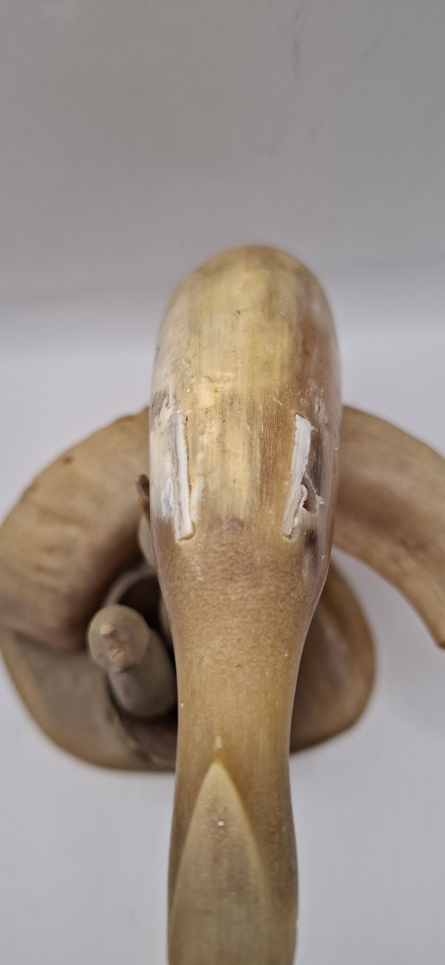 Nest Carving (UK Only)