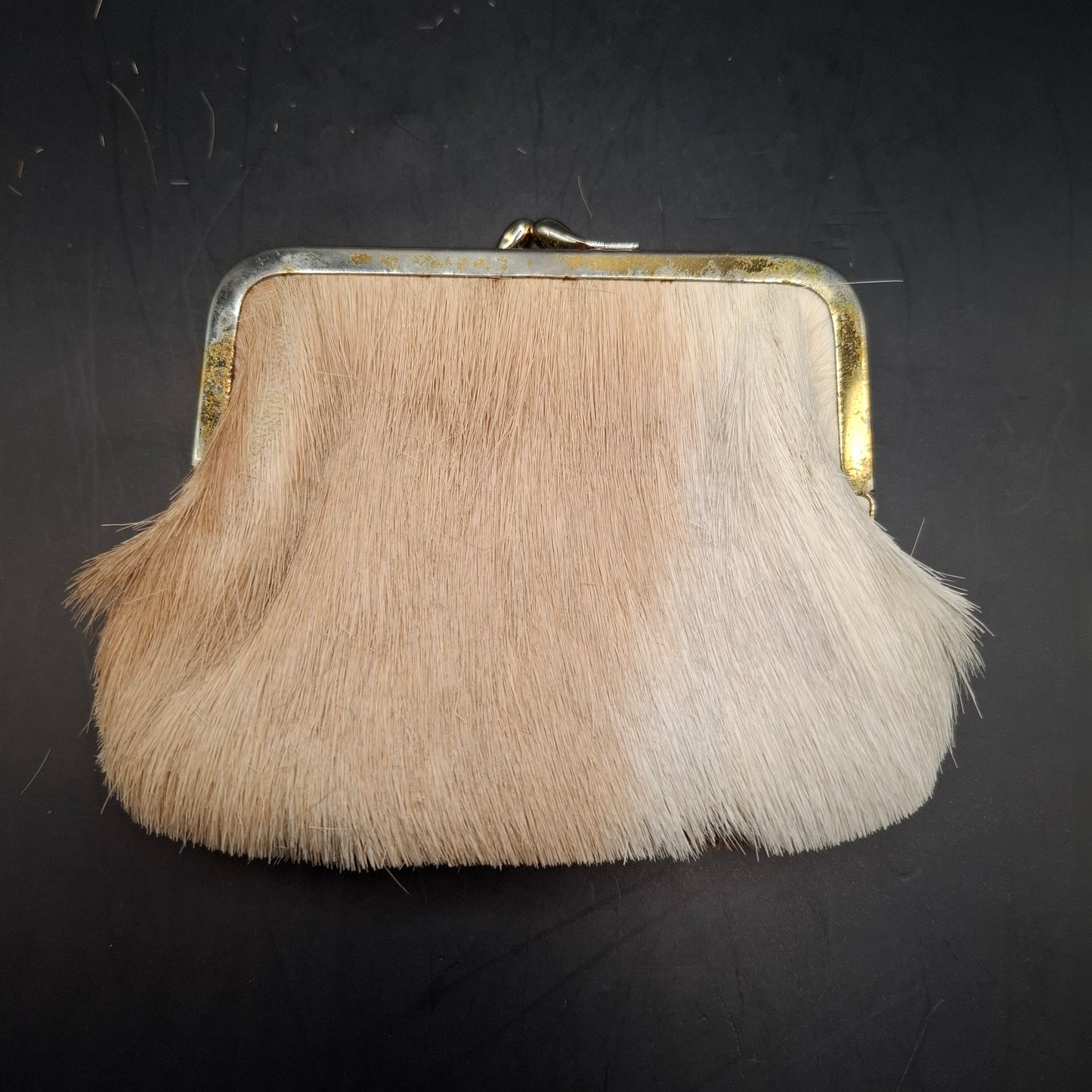 Skin Coin Purse (UK Only)