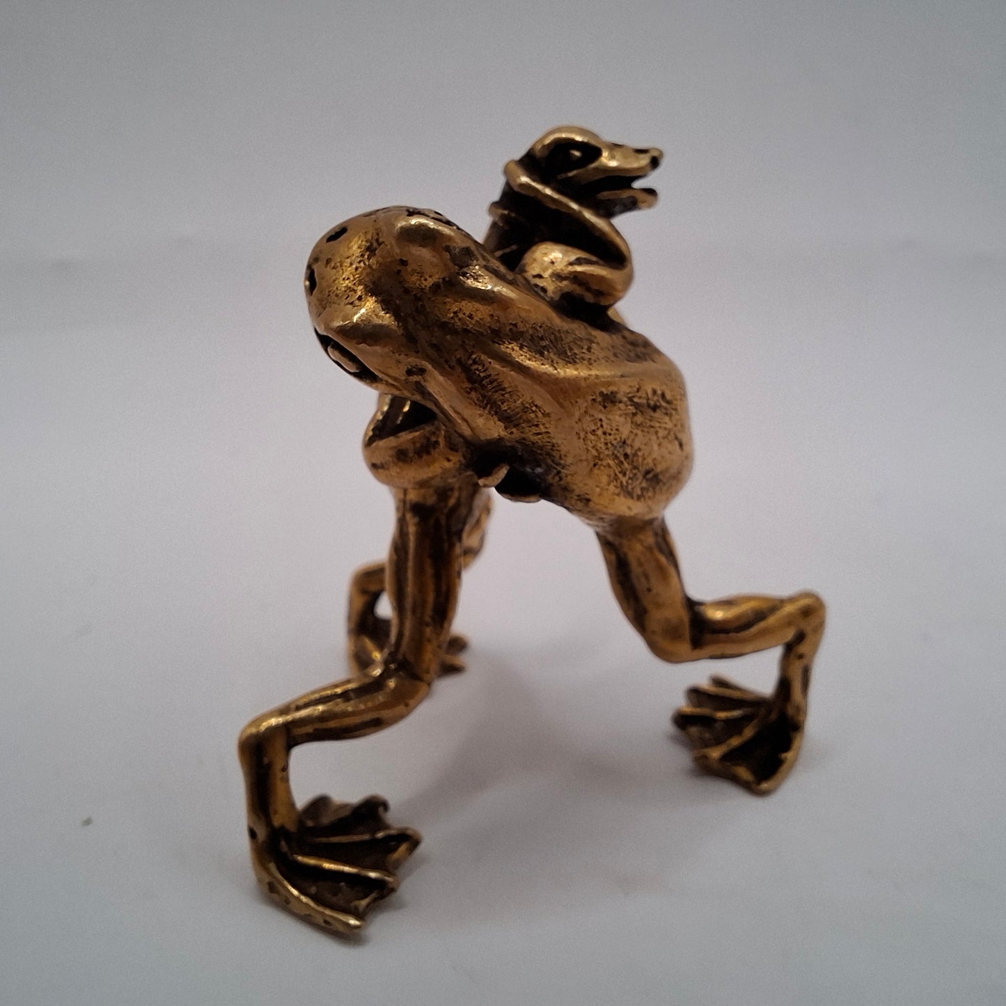 Fighting Frogs