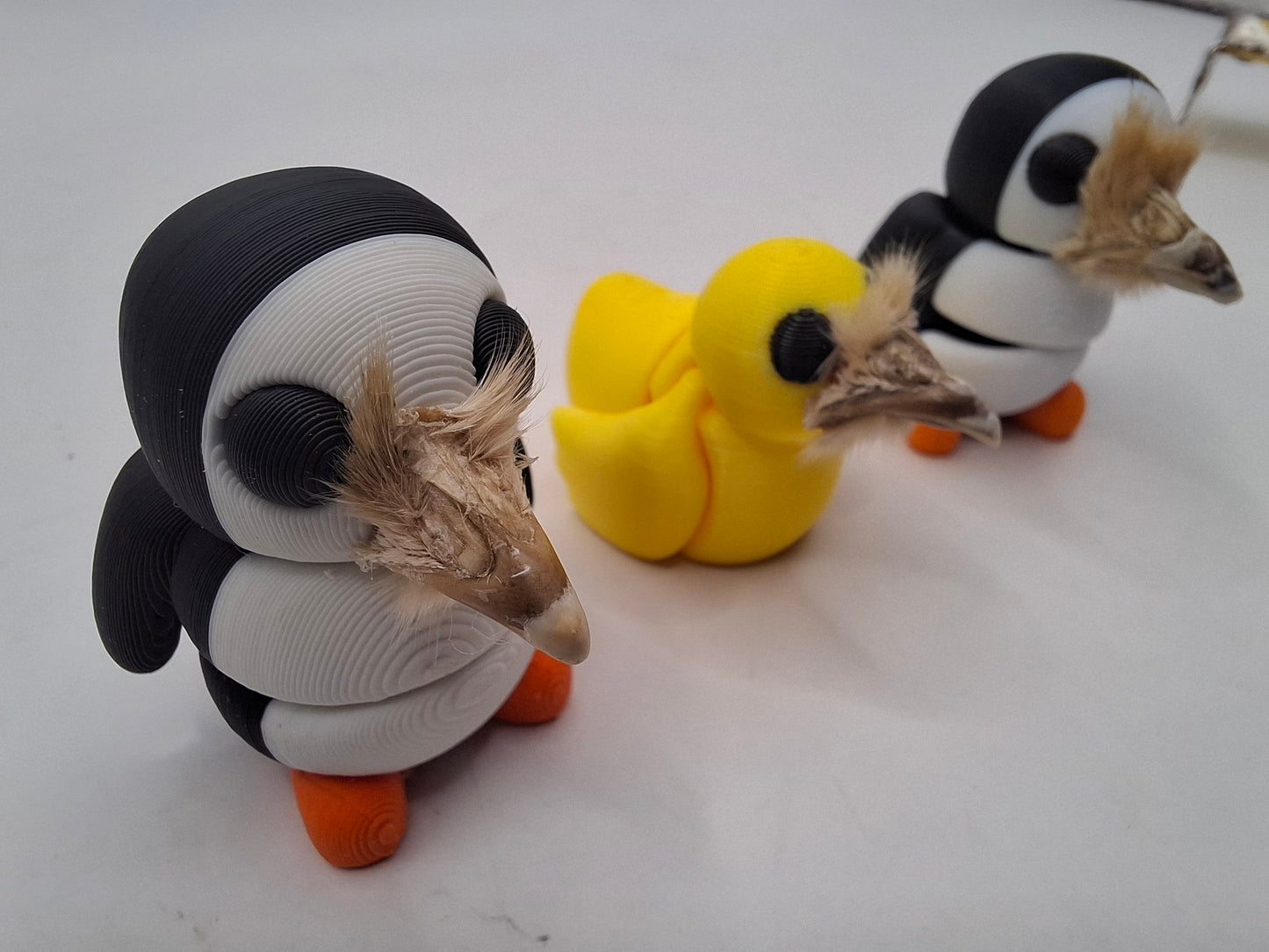 Birds & The Beeks