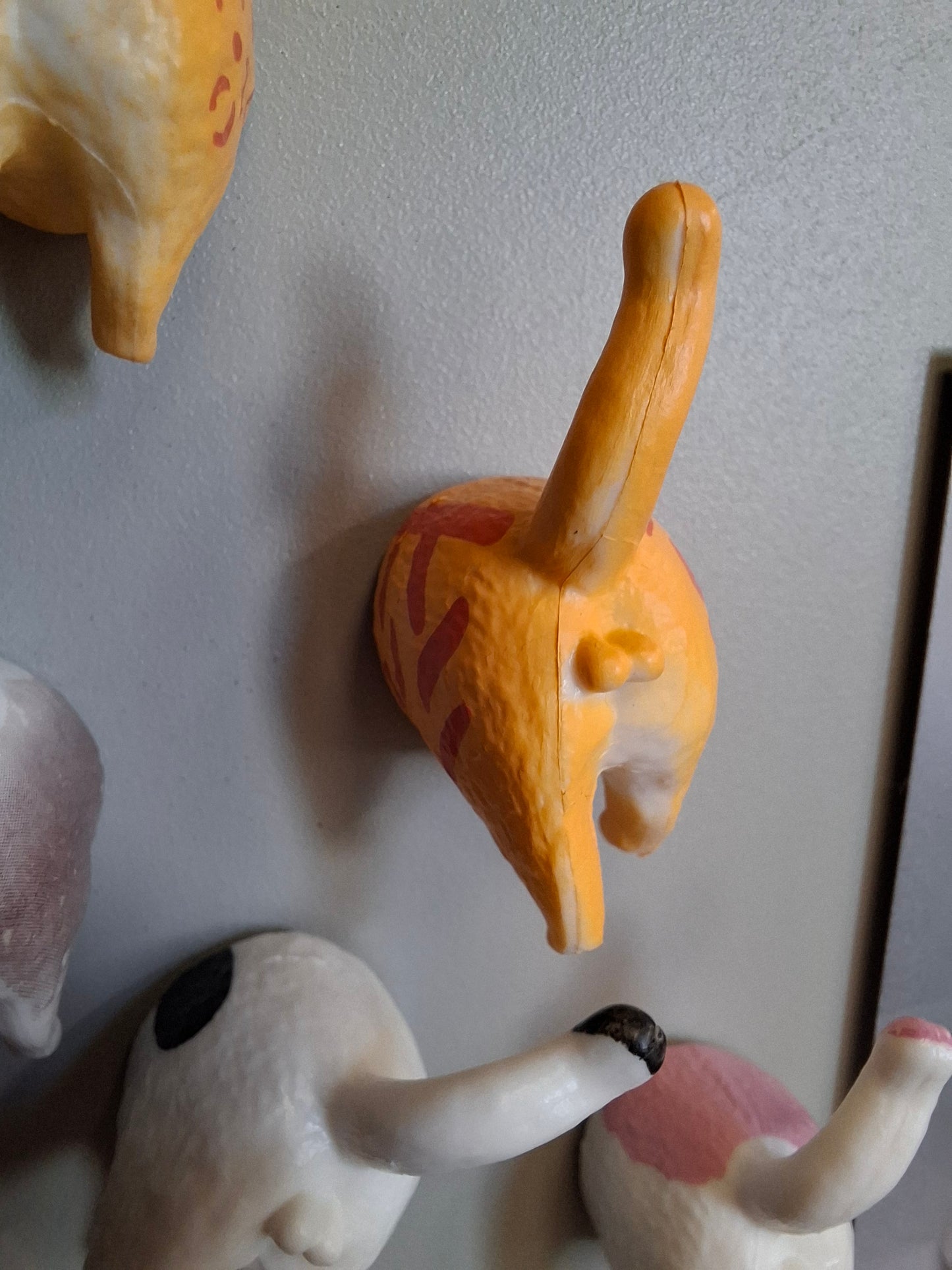 Cat Arse Magnets