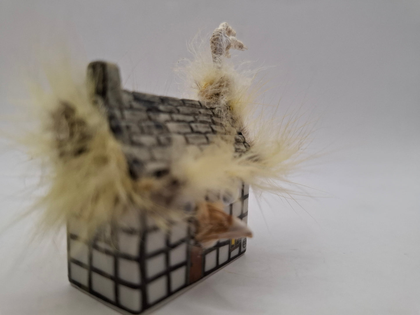 Bird House