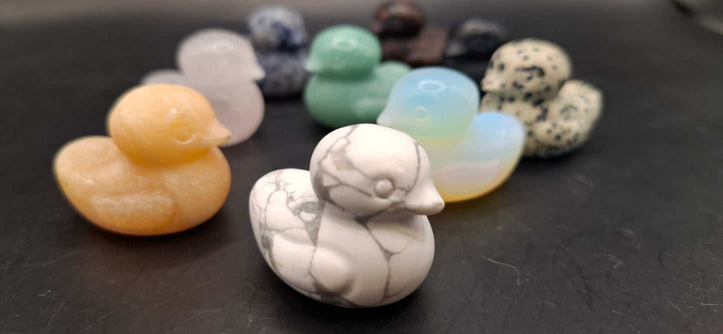 Rock Ducks