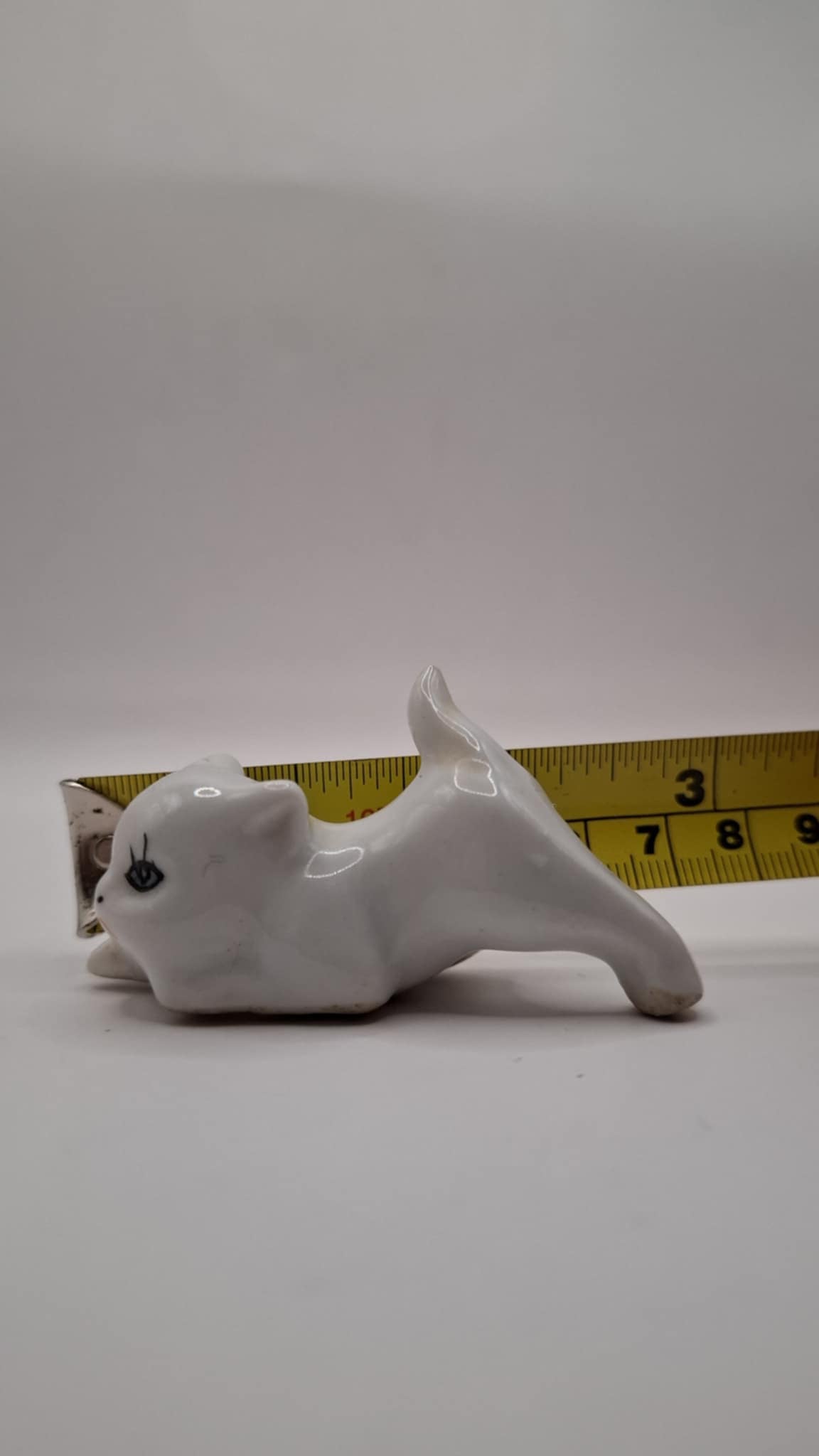 Tiny Animals