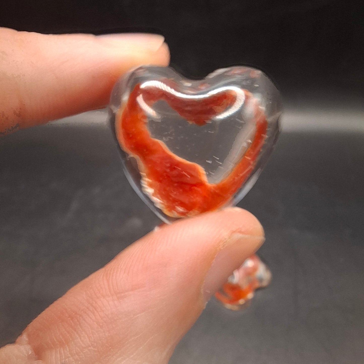 Intestinal Love Heart