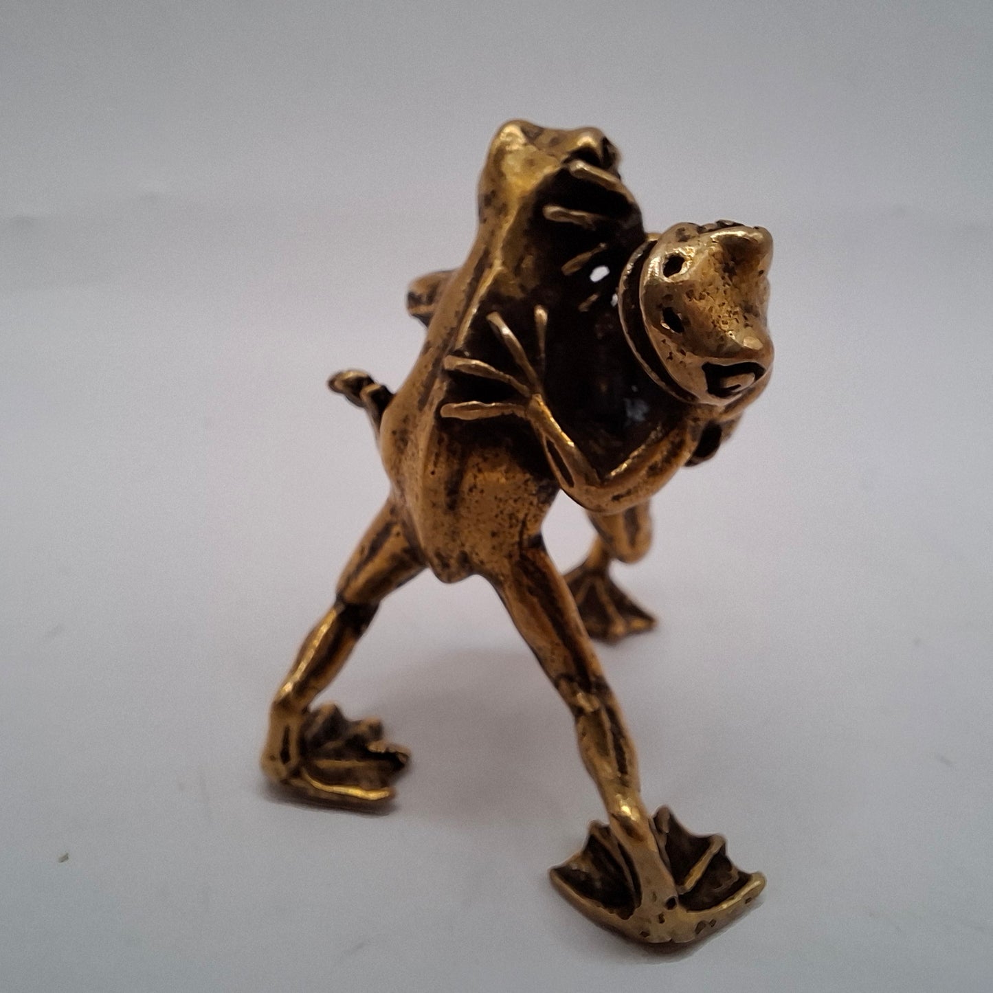 Fighting Frogs