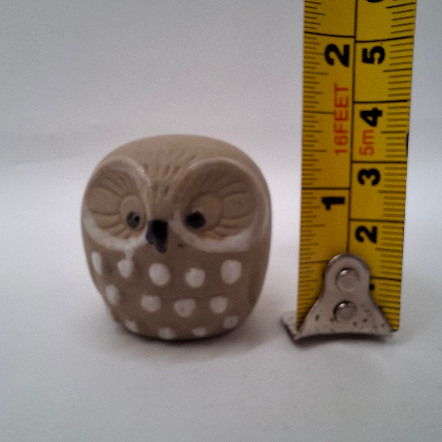 Cross-eyed Creatures
