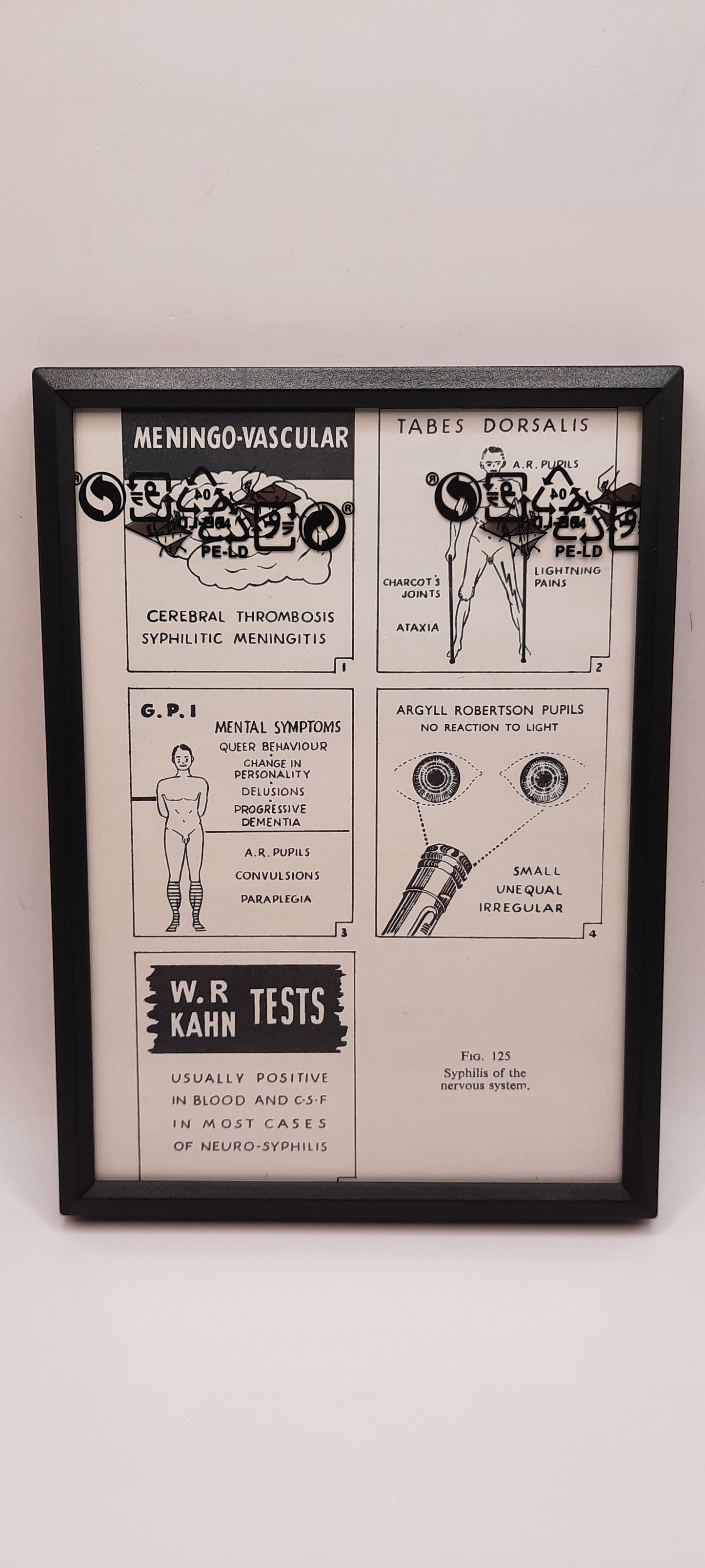Framed Nursing Diagrams