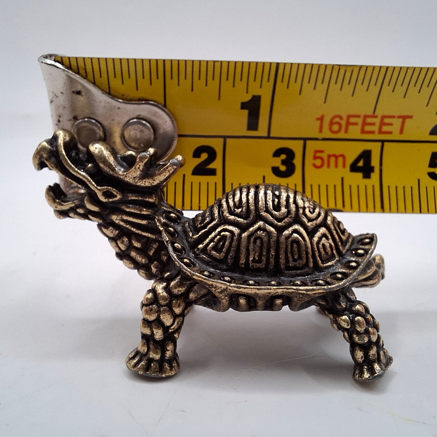 Turtle Monster