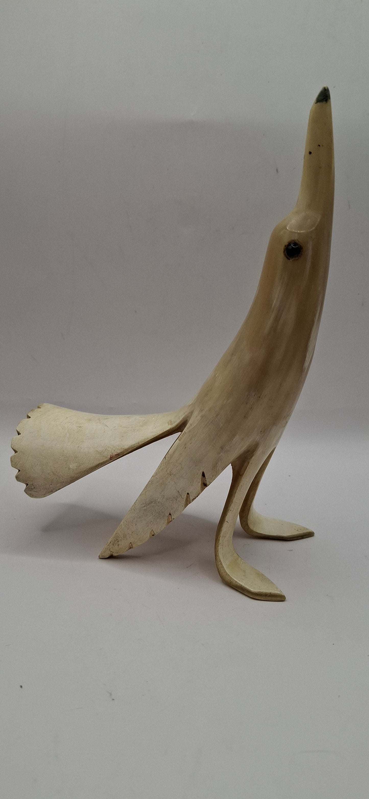 Star Gazey Bird Horn Carving (UK Only)