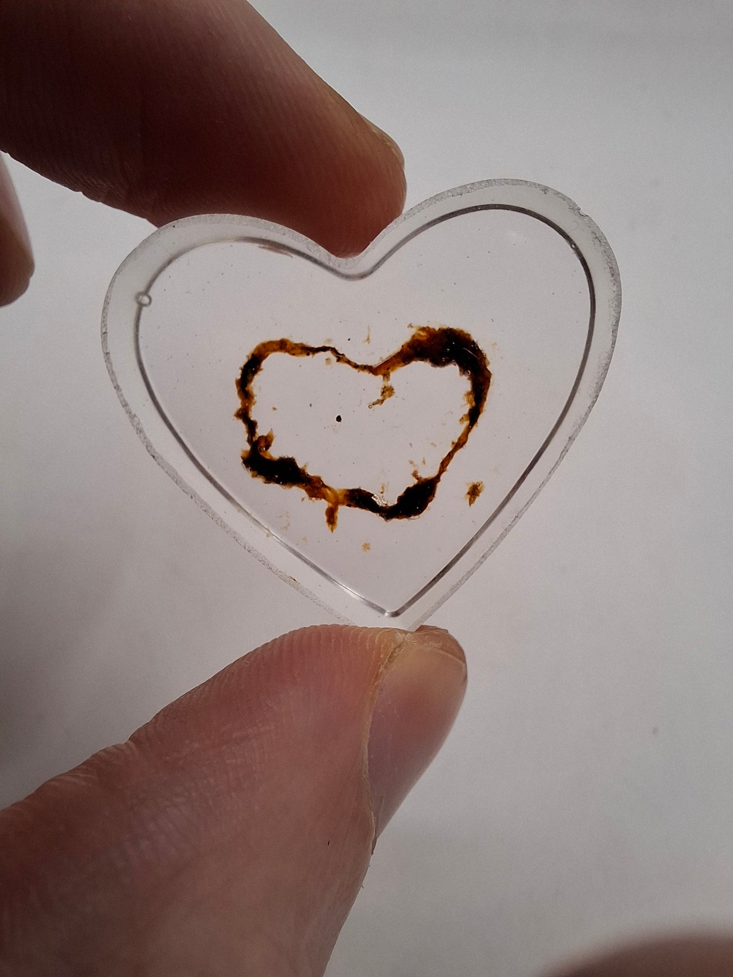 Intestinal Love Heart