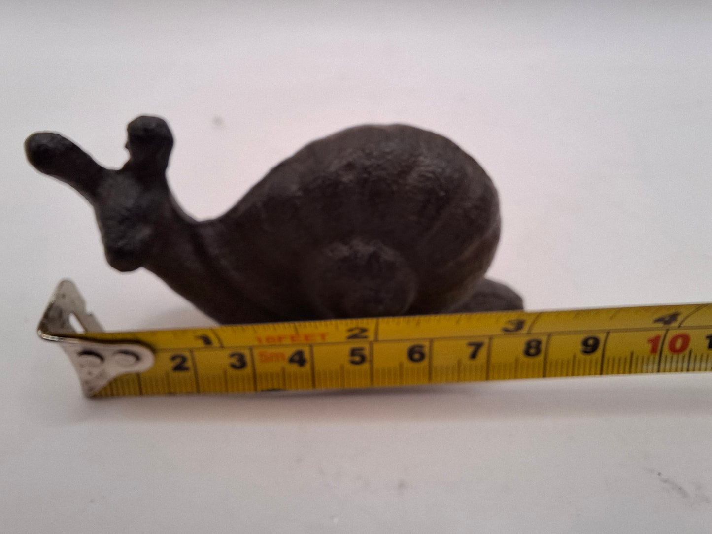 Black Snail