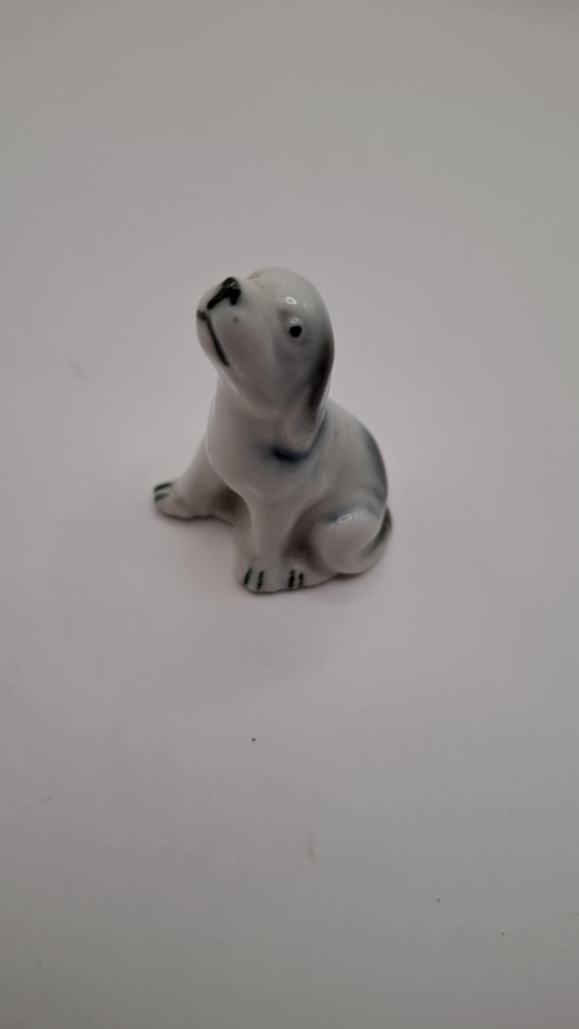 Tiny Animals
