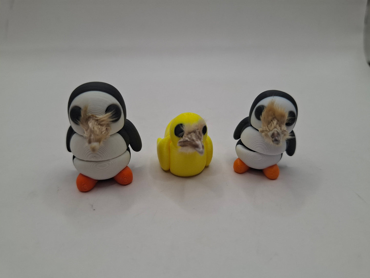 Birds & The Beeks