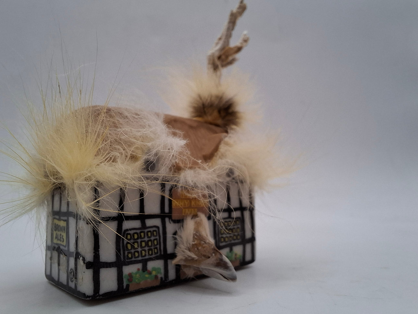 Bird House