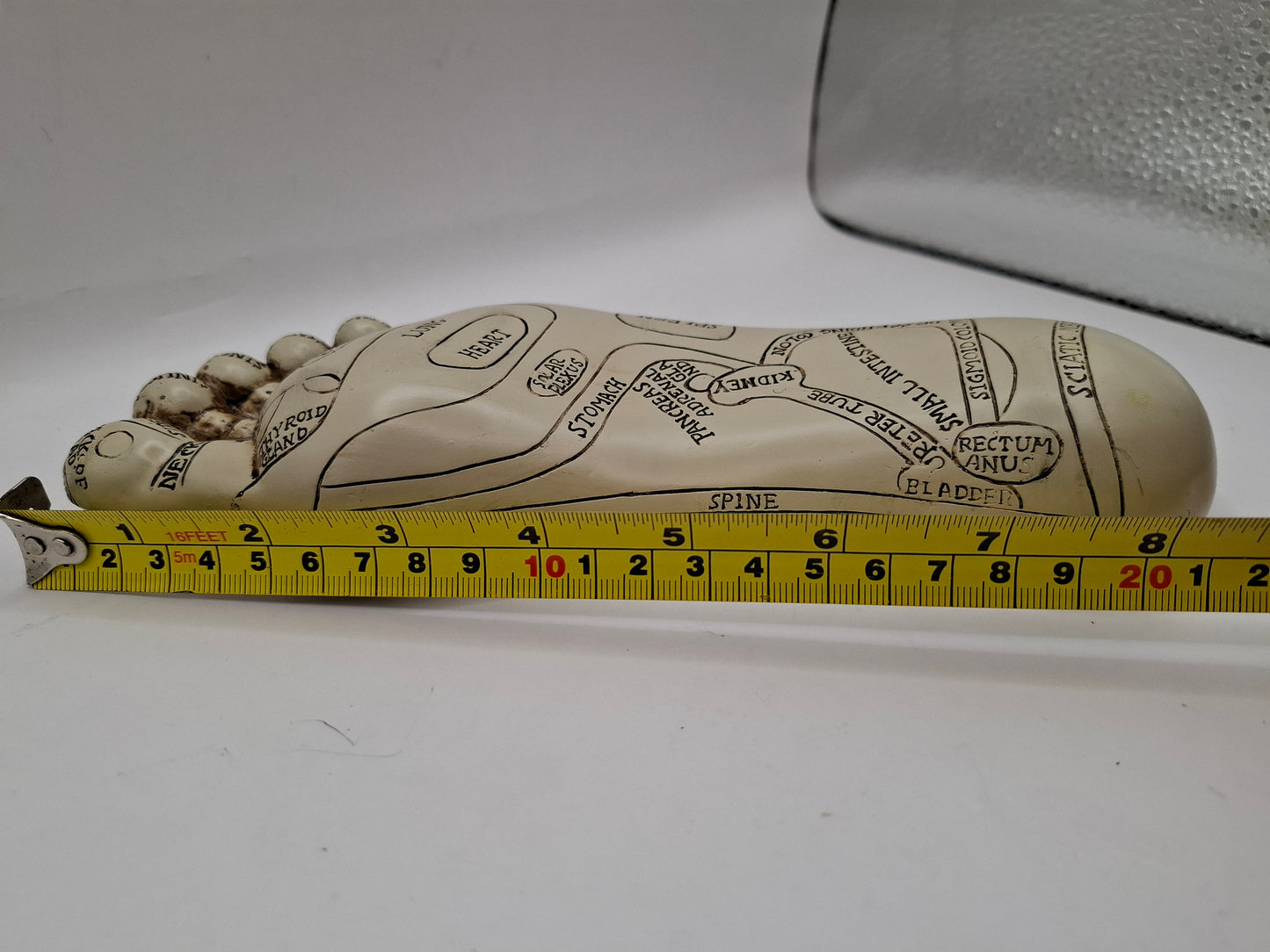 Unscientific Foot