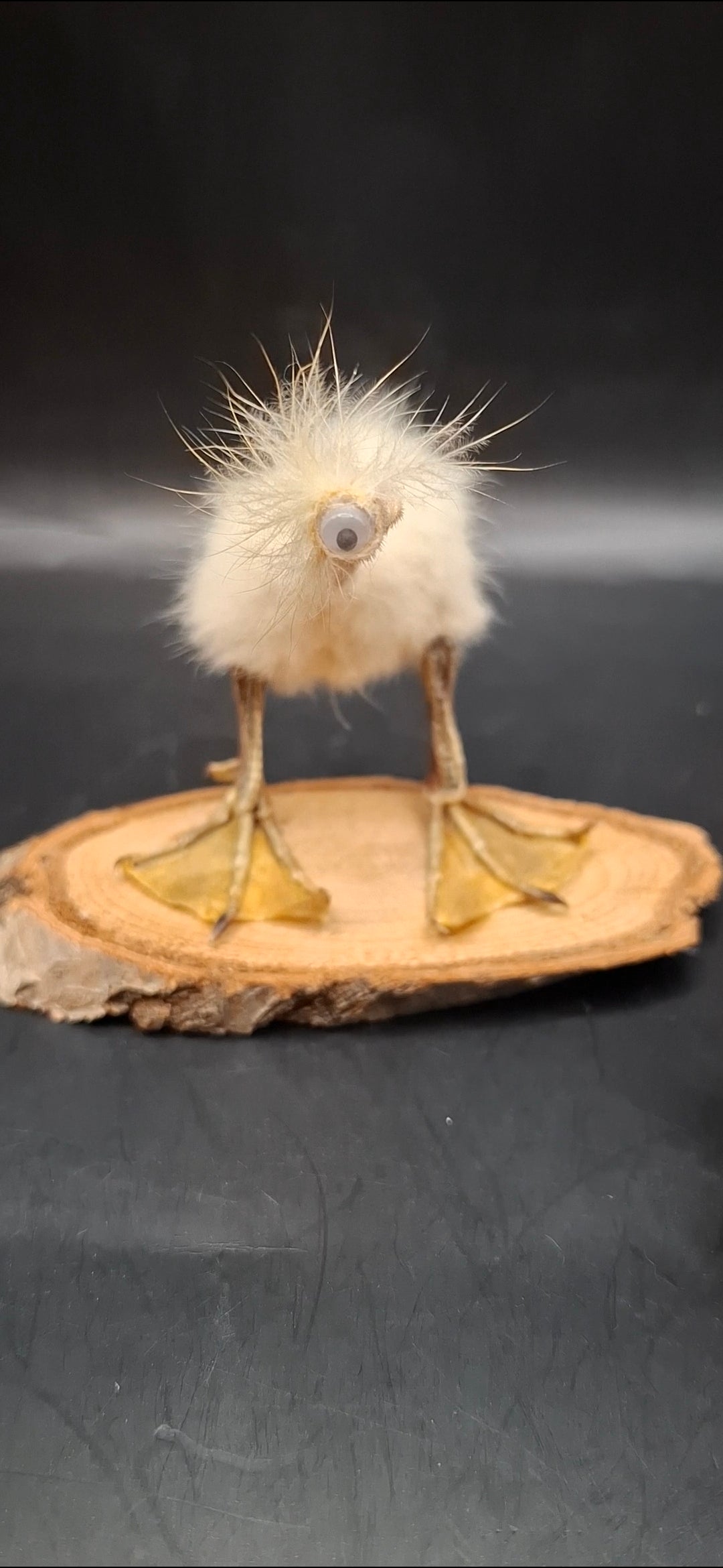 The Stork