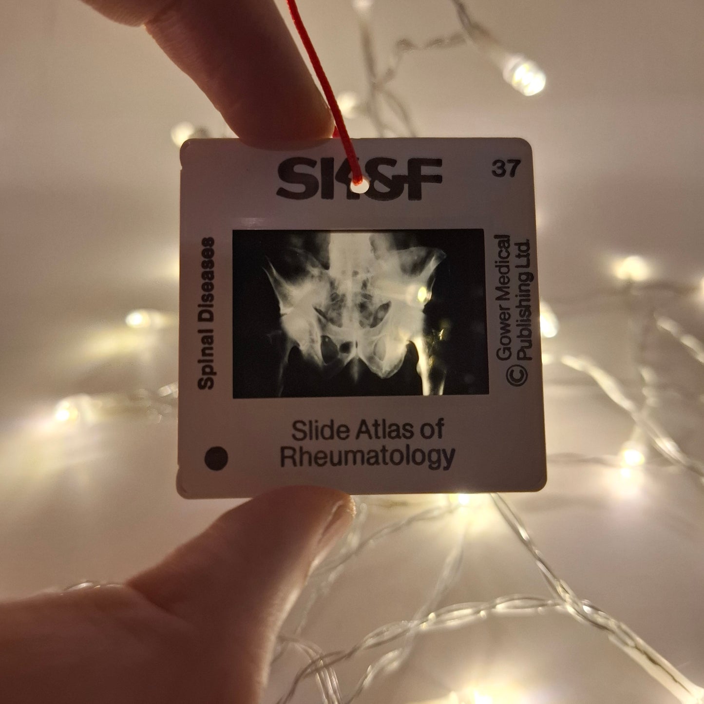 Medical Slide