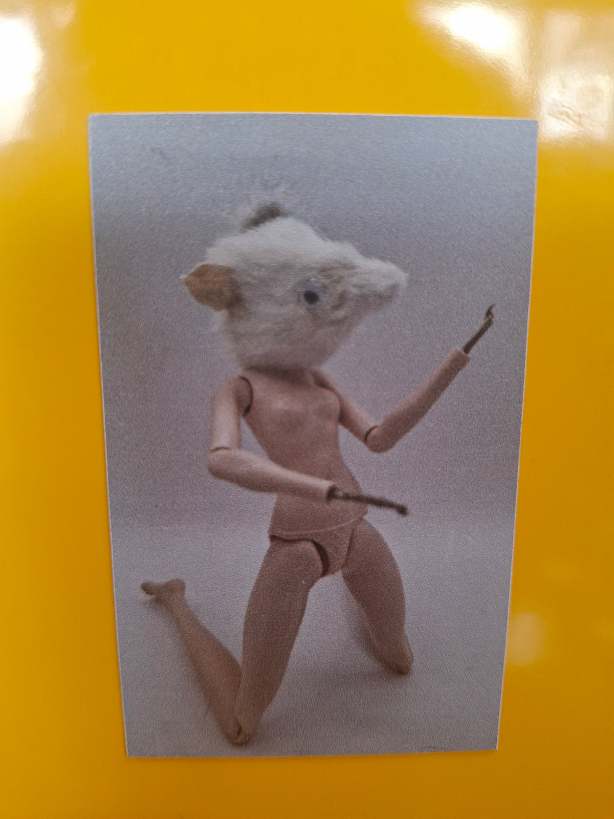 Lady Parts Fridge Magnet