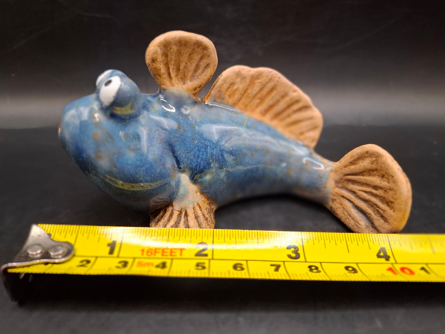 Blue Mudskipper