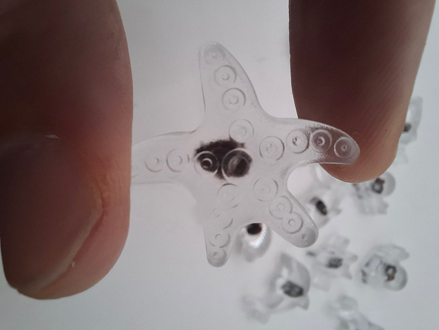 Mouse Heart Fish