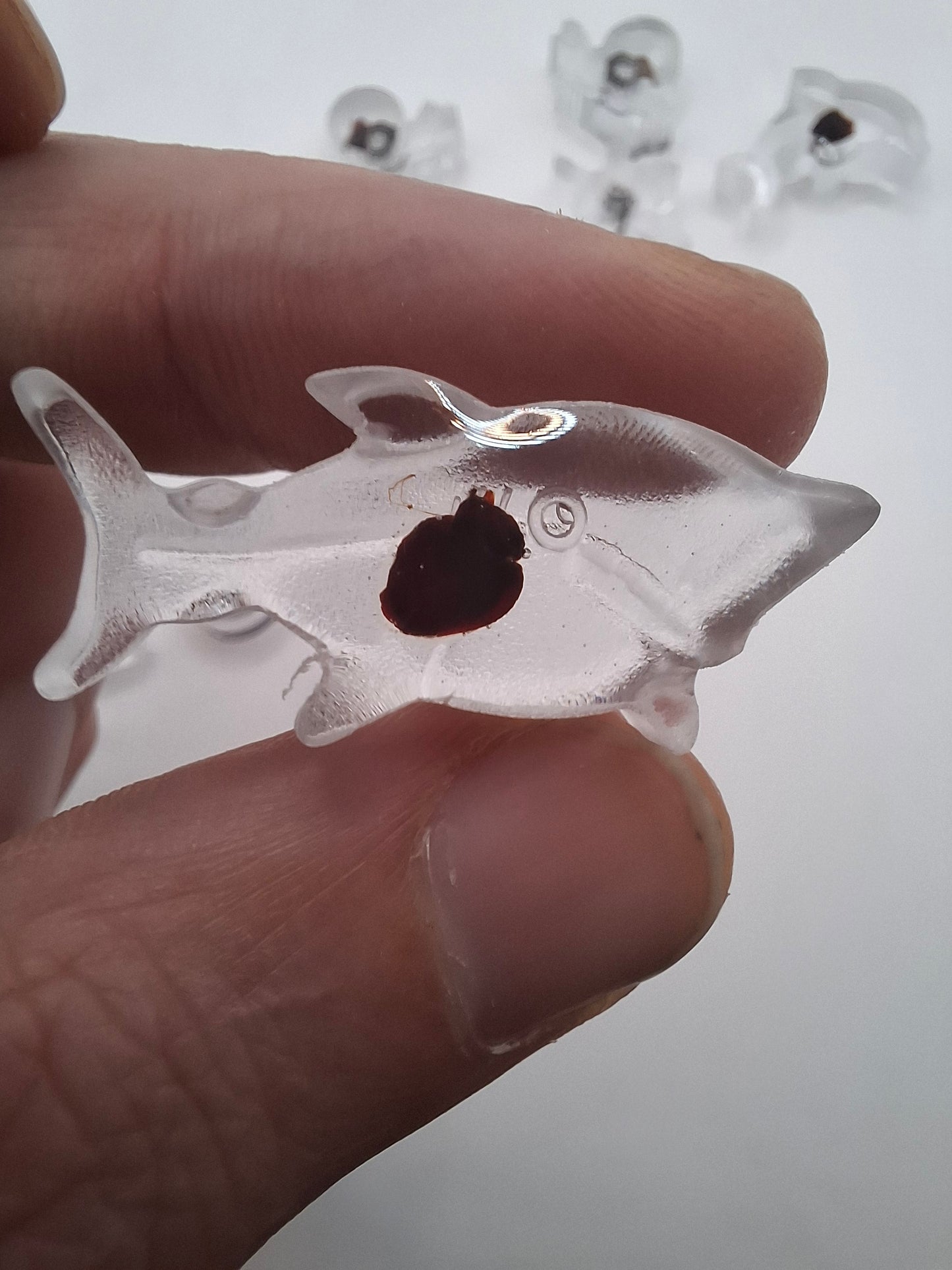 Mouse Heart Fish