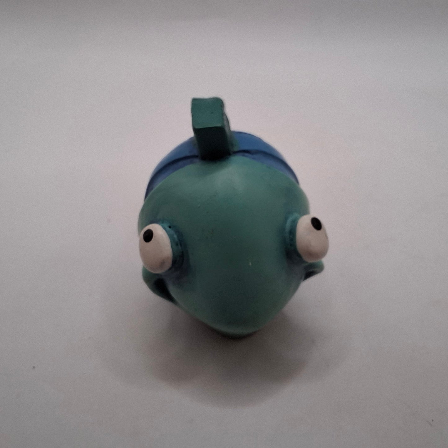 Boggle Eyed Fish