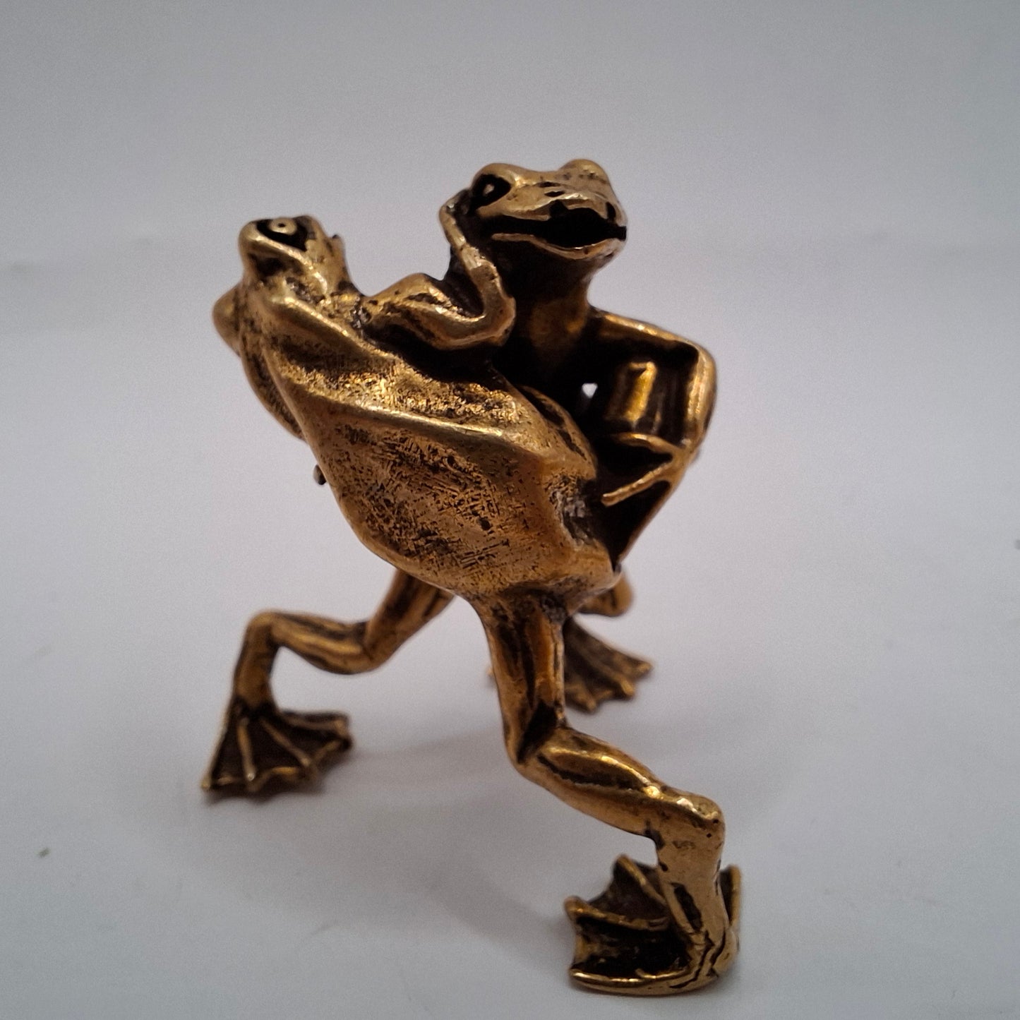 Fighting Frogs