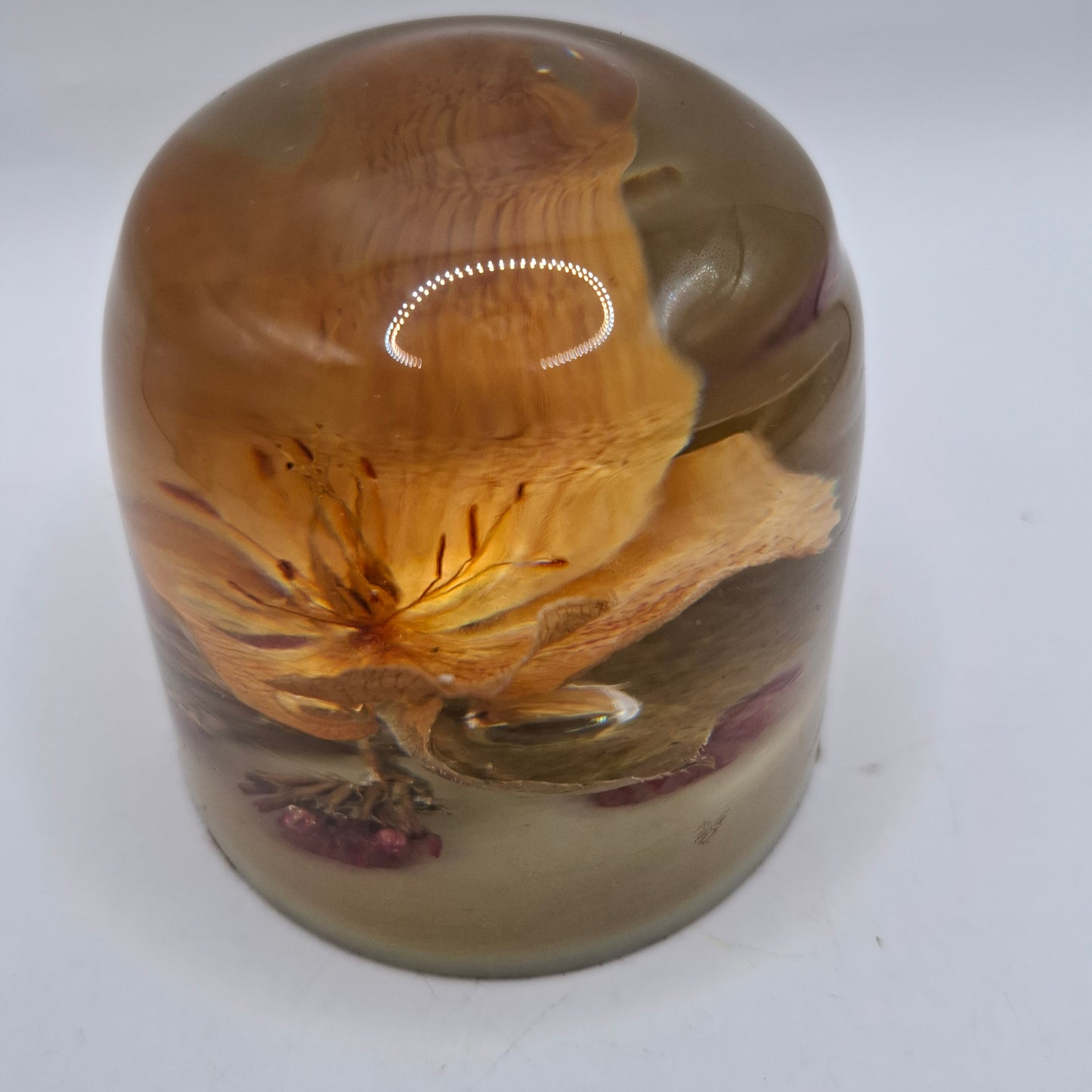 Vintage Resin