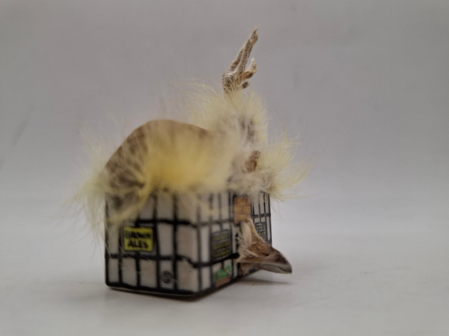 Bird House