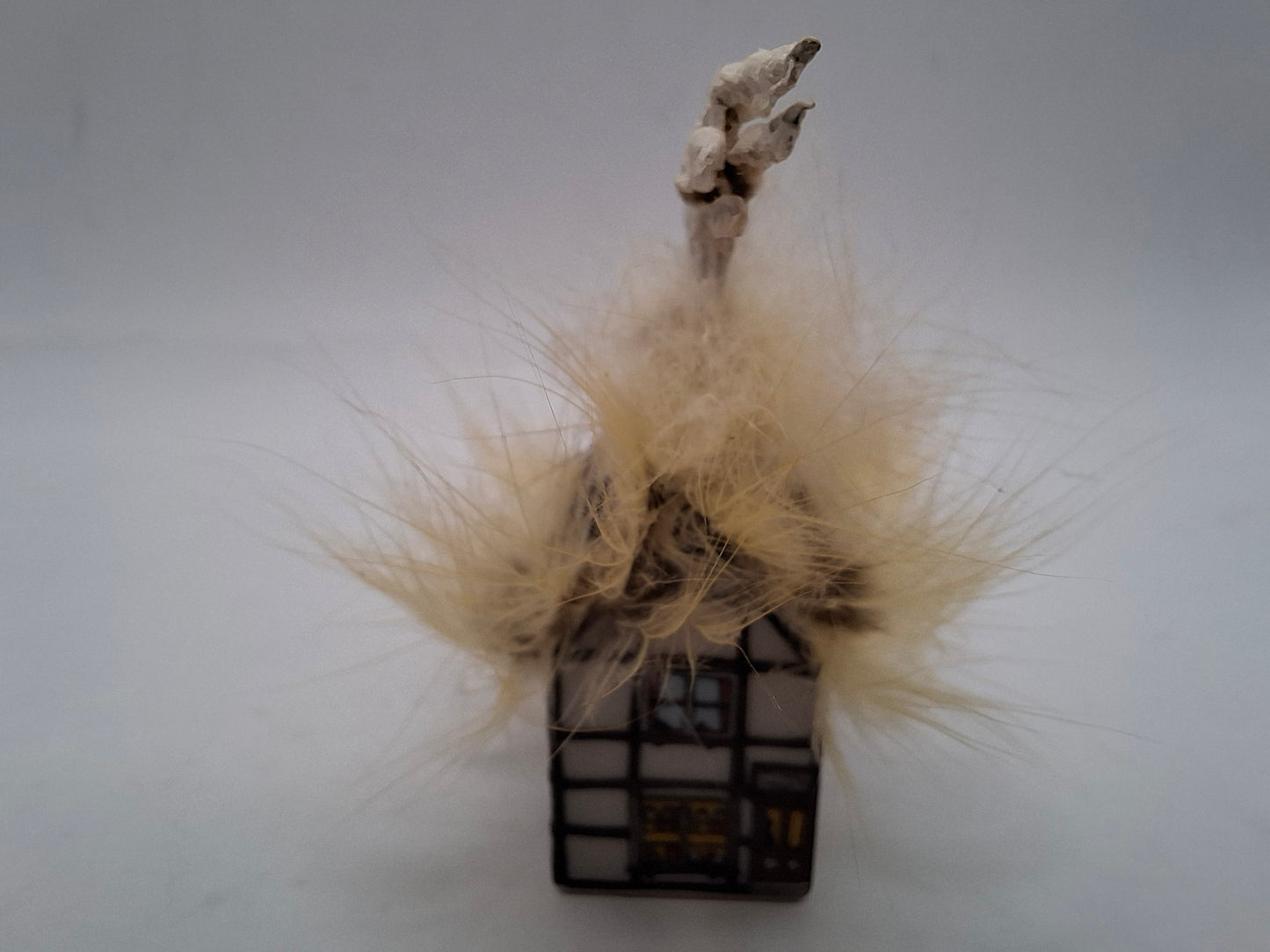 Bird House