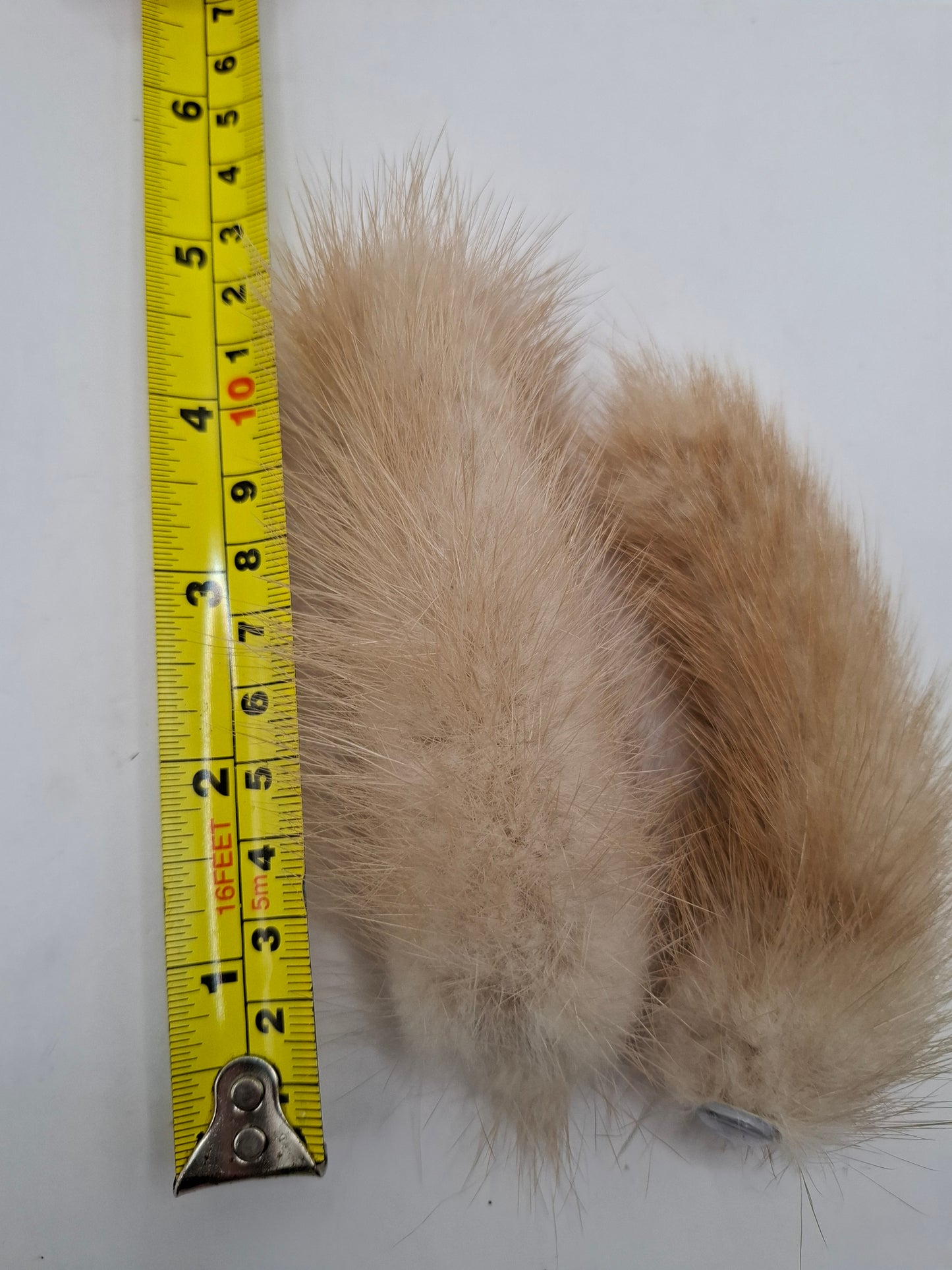 Limited Edition Furms